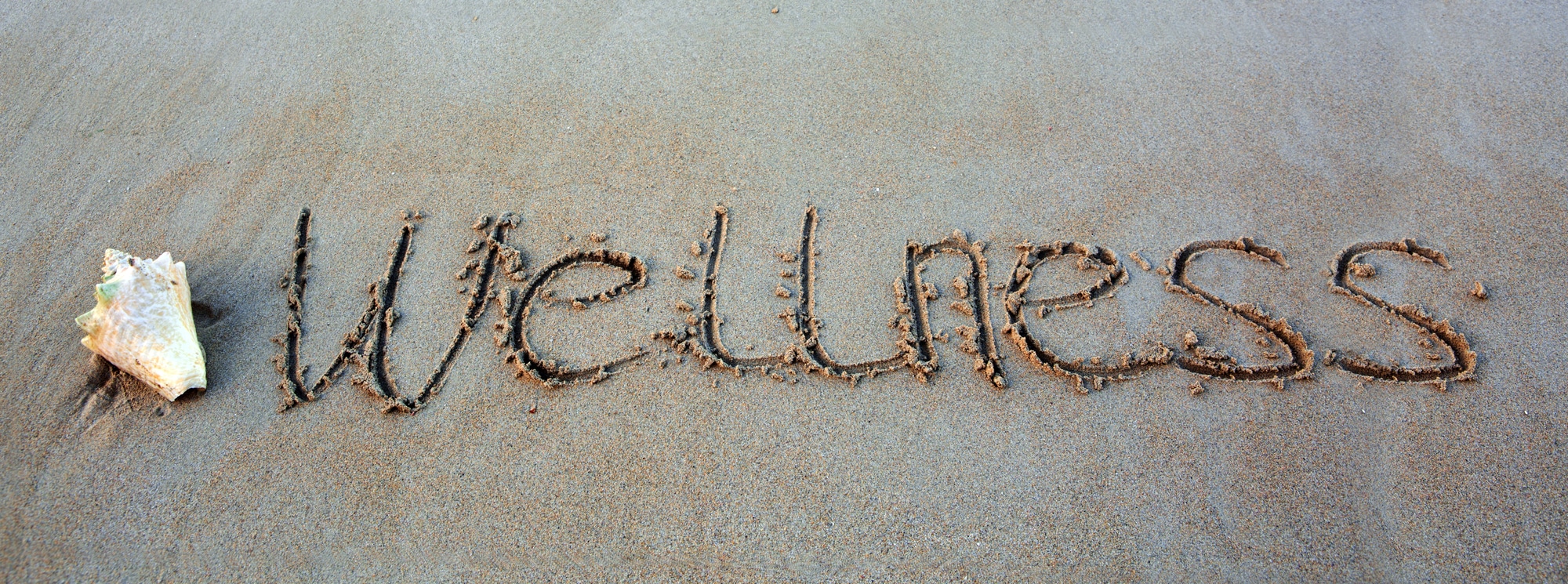 Как пишется слово расслабиться. Пишет на песке.