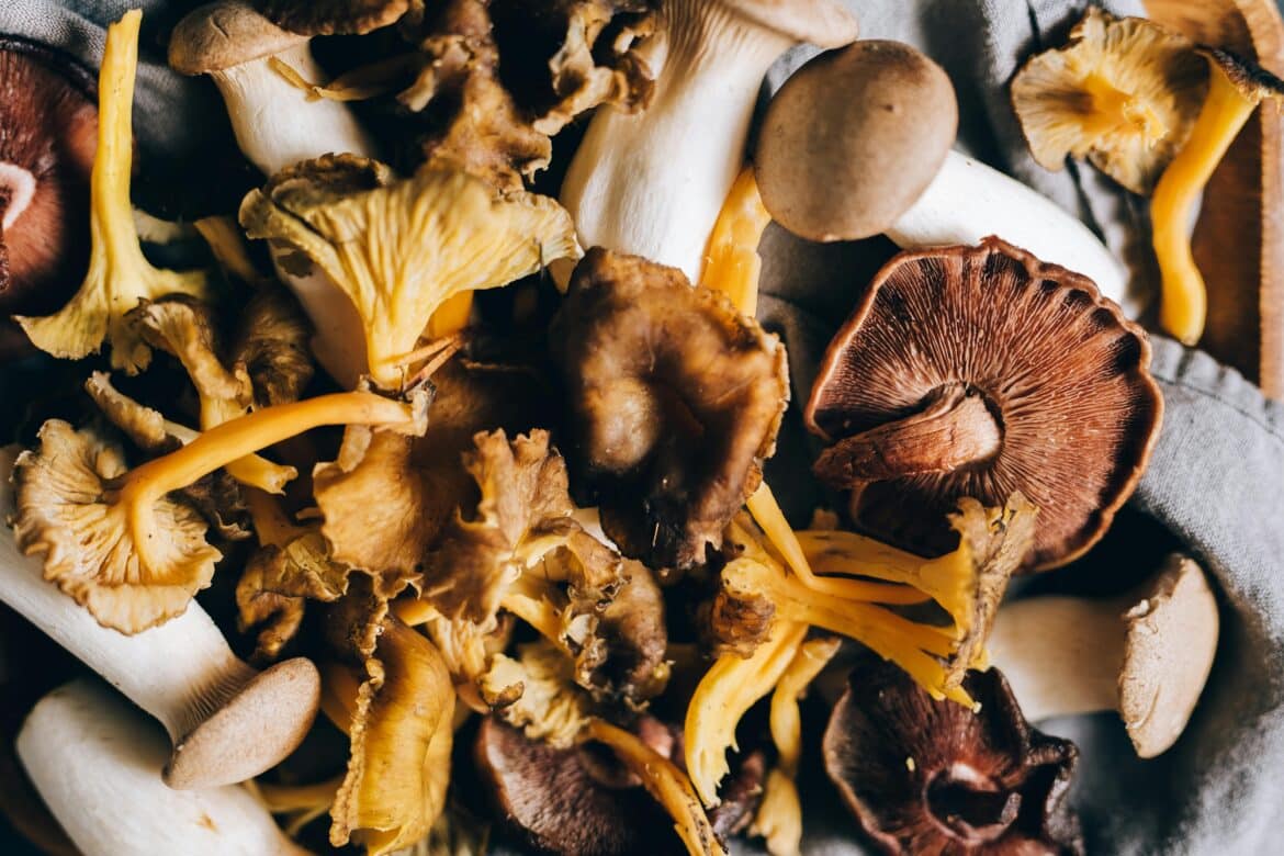 Medicinal Mushrooms